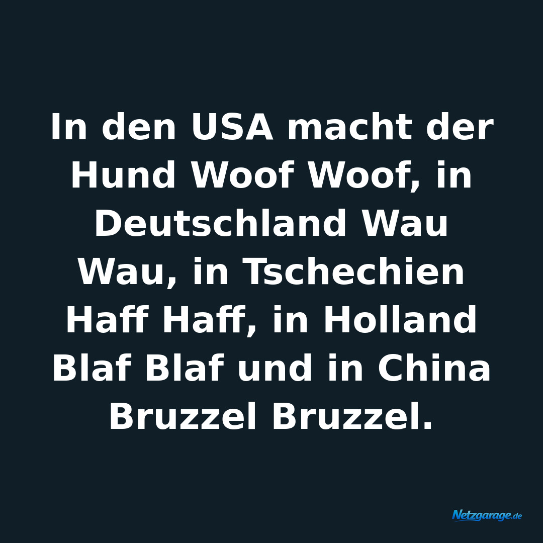In den USA macht der Hund Woof Woof, in Deutschland Wau Wau, in Tschechien Haff 