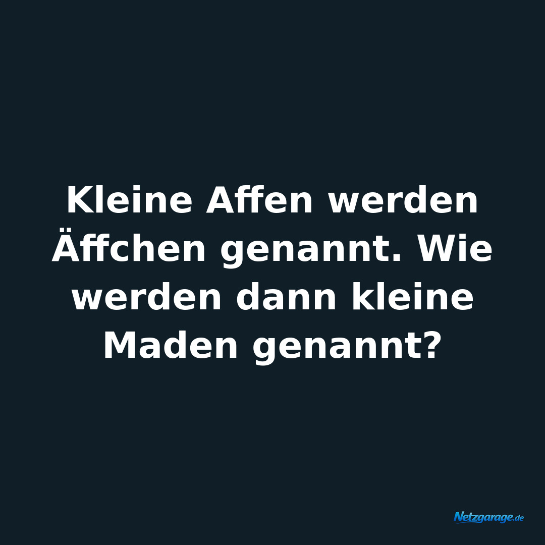 Kleine Affen werden Äffchen genannt. Wie werden dann kleine Maden genannt?