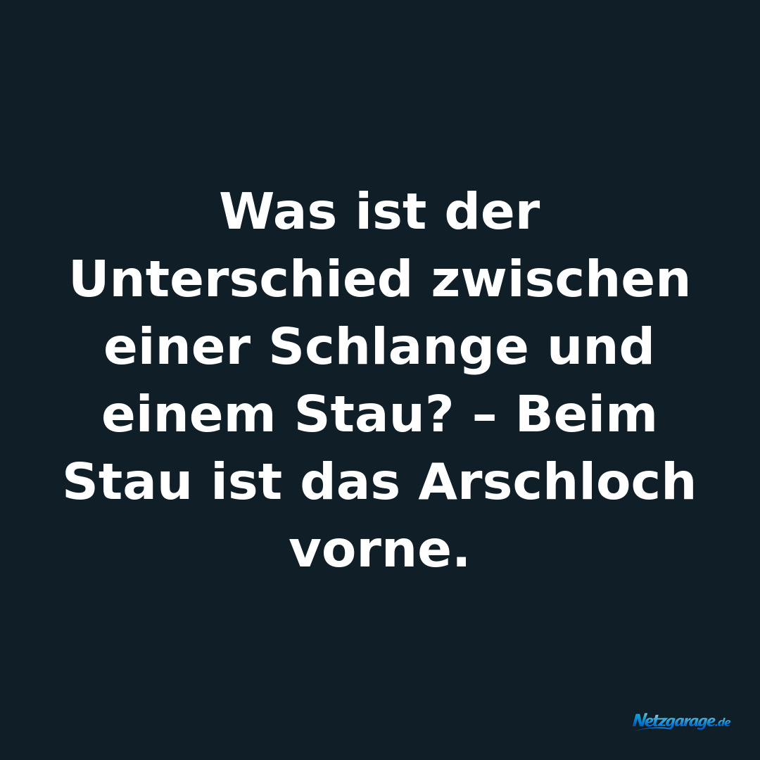 Was ist der Unterschied zwischen einer Schlange und einem Stau? – Beim Stau ist 