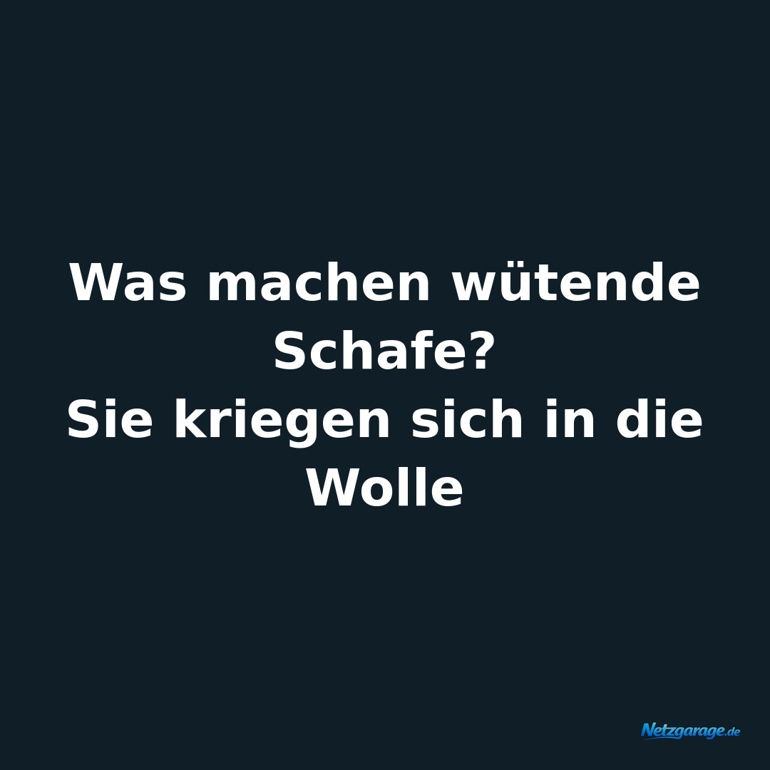 Was machen wütende Schafe?

Sie kriegen sich in die Wolle