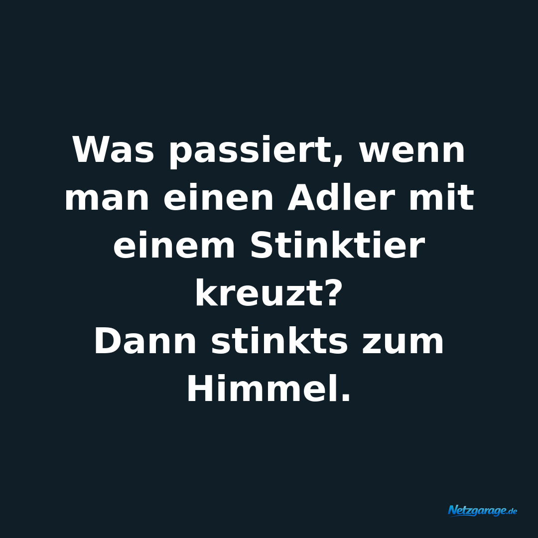 Was passiert, wenn man einen Adler mit einem Stinktier kreuzt?

Dann stinkts z