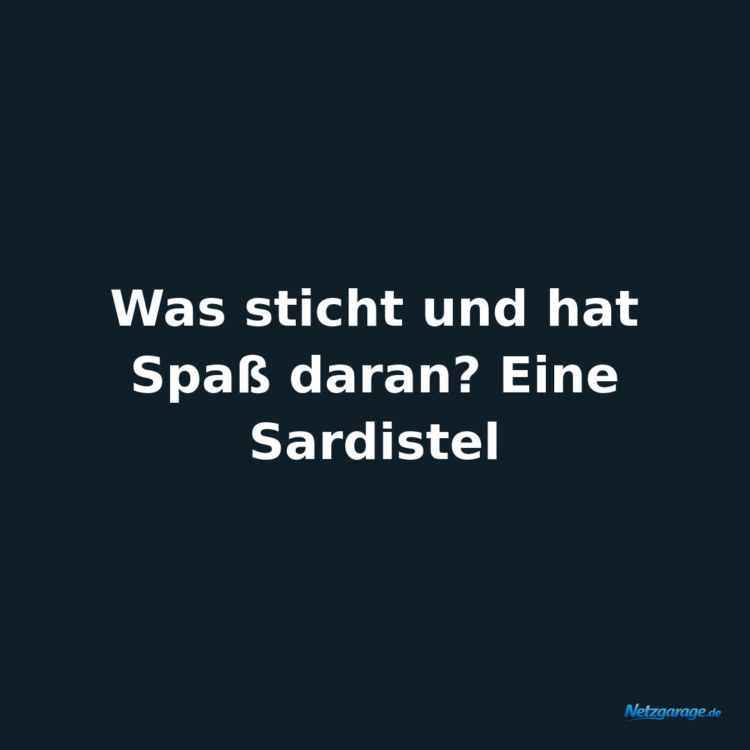 Was sticht und hat Spaß daran? Eine Sardistel
