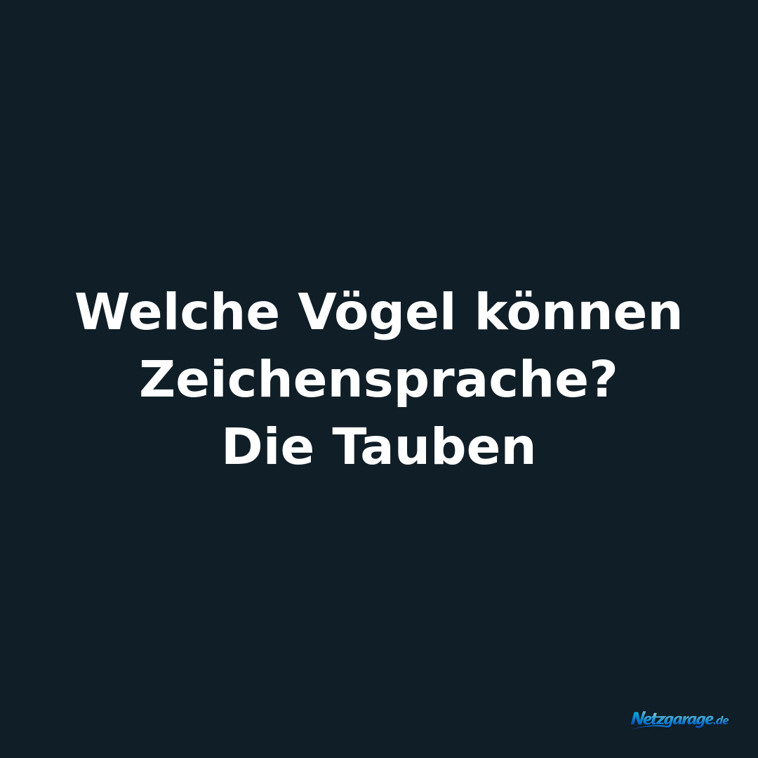 Welche Vögel können Zeichensprache?

Die Tauben
