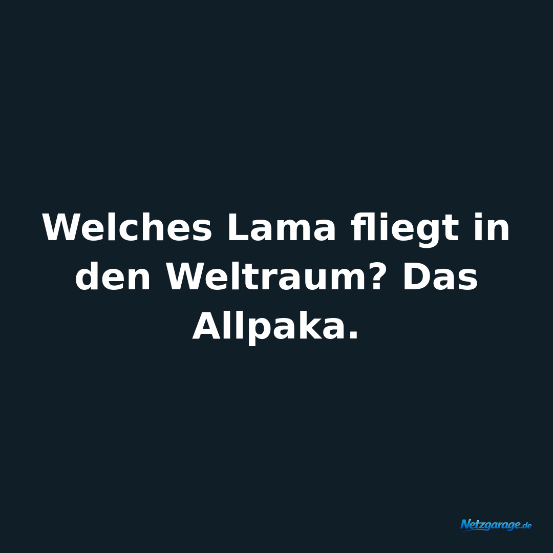 Welches Lama fliegt in den Weltraum? Das Allpaka.