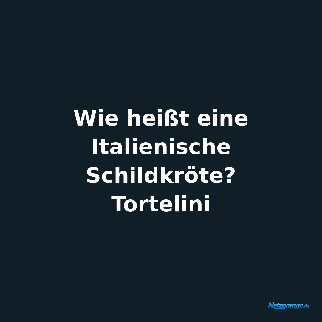Wie heißt eine Italienische Schildkröte? 
Tortelini